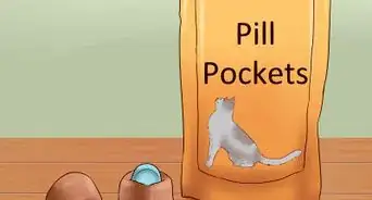 darle una pastilla a un gato