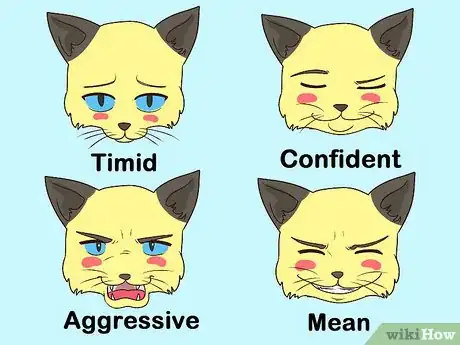 Imagen titulada Act Like a Warrior Cat Step 3