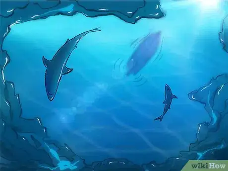 Imagen titulada Fish for Shark Step 9
