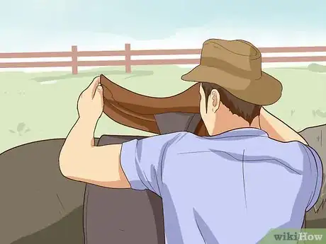 Imagen titulada Break a Horse Step 20