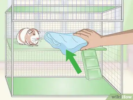 Imagen titulada Keep Guinea Pigs Warm Step 4