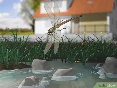 Imagen titulada Attract Dragonflies Step 3