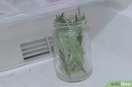 Imagen titulada Preserve Herbs Step 9
