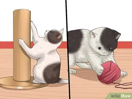 Imagen titulada Care for a Stray Kitten Step 22