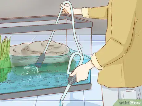 Imagen titulada Take Care of Baby Water Turtles Step 23