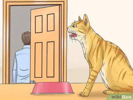 Imagen titulada Get a Cat to Stop Meowing Step 2
