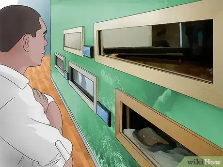 Imagen titulada Get over Your Fear of Snakes Step 11