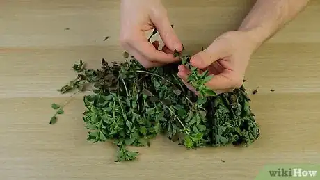 Imagen titulada Dry Oregano Step 1