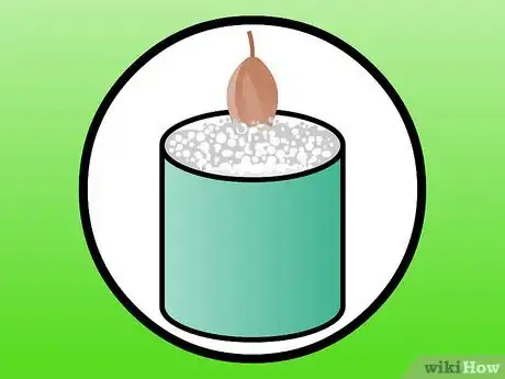 Imagen titulada Dry Gourds Step 20