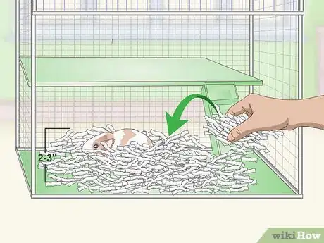 Imagen titulada Keep Guinea Pigs Warm Step 5