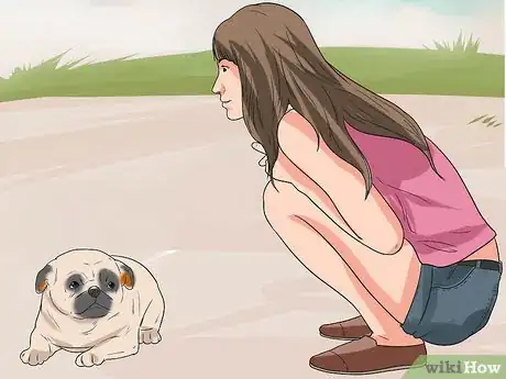 Imagen titulada Train Pugs Step 16