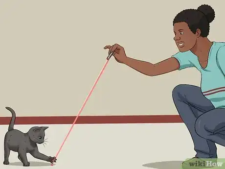 Imagen titulada Raise a Kitten Step 8