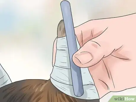 Imagen titulada Tape Up Stubborn German Shepherd Puppy Ears Step 8