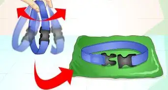 limpiar collares de perros