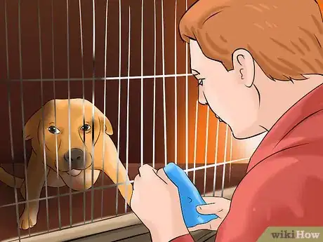Imagen titulada Find and Adopt a Healthy and Happy Shelter Dog Step 3