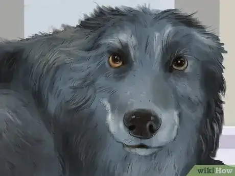 Imagen titulada Recognize Fear in Dogs Step 7