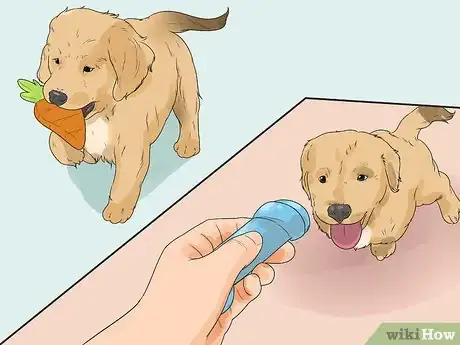 Imagen titulada Introduce a New Puppy Step 10