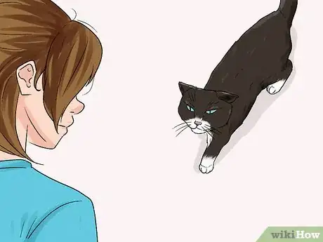Imagen titulada Stop an Older Cat from Attacking a Kitten Step 5