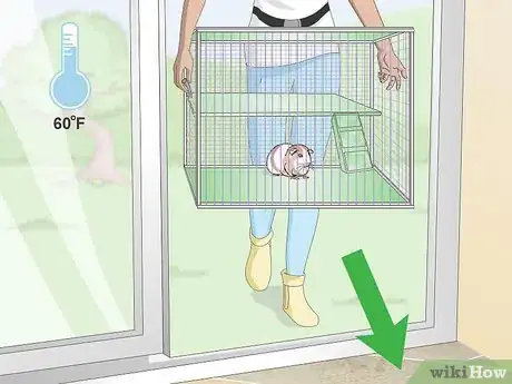 Imagen titulada Keep Guinea Pigs Warm Step 1