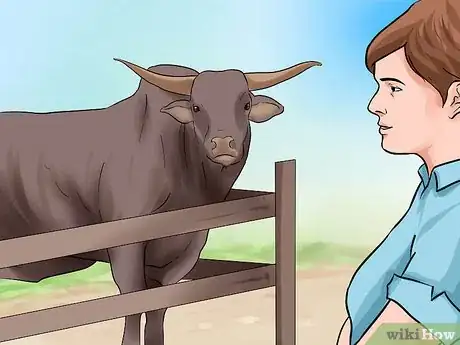 Imagen titulada Ride a Bull Step 6