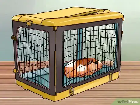 Imagen titulada Cut Guinea Pig Claws Step 15