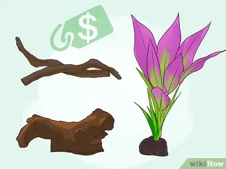 Imagen titulada Care for Slugs Step 3