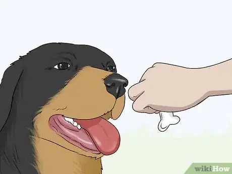 Imagen titulada Teach Your Dog to Drop It Step 6