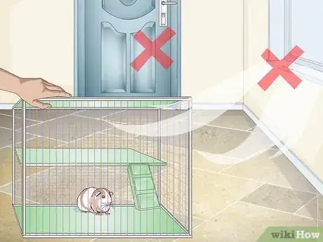 Imagen titulada Keep Guinea Pigs Warm Step 3