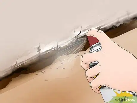 Imagen titulada Kill Ants in Your House Step 12
