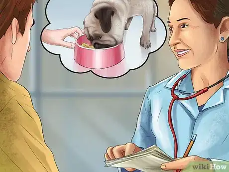 Imagen titulada Care for a Pug Step 8