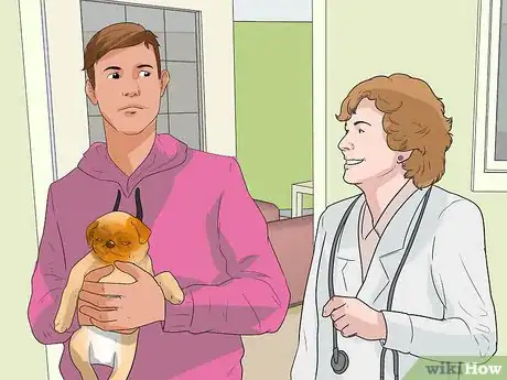 Imagen titulada Diagnose Eye Problems in Pugs Step 7