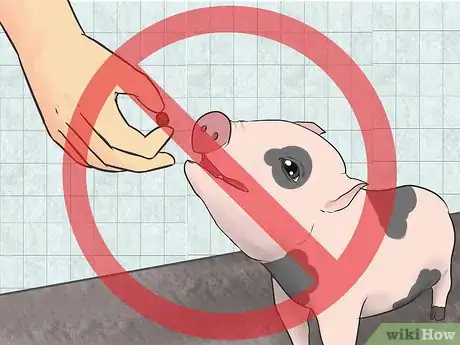 Imagen titulada House Train a Pig Step 13