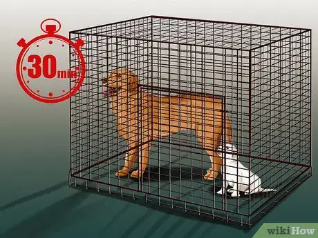 Imagen titulada Introduce a Puppy to a Dog Step 20