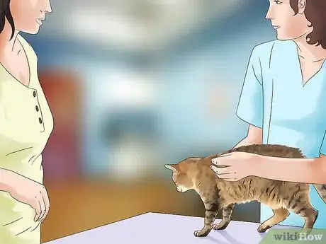 Imagen titulada Control Fleas by Using Peppermint Step 11