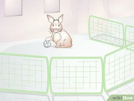 Imagen titulada Teach a Rabbit Not to Chew Furniture Step 14