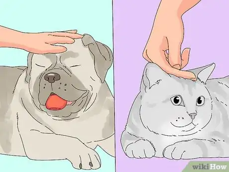 Imagen titulada Make a Cat and Dog Get Along Step 7