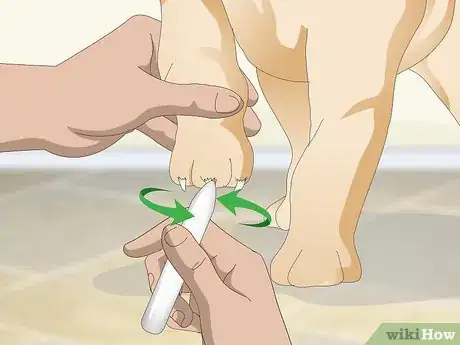Imagen titulada Stop a Quick from Bleeding Step 12