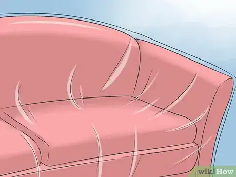 Imagen titulada Eliminate a Flea Infestation in Your Home Step 13