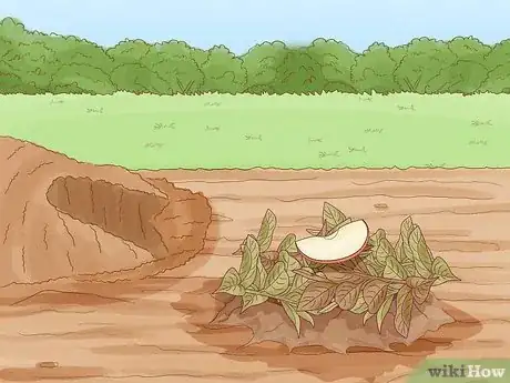 Imagen titulada Trap a Rabbit Step 10
