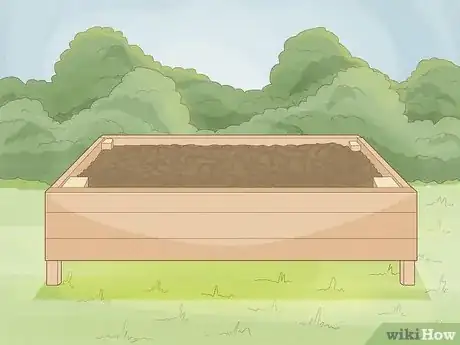 Imagen titulada Grow a Tomato Plant Step 2