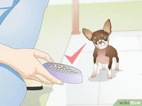 Imagen titulada Choose Dog Food Bowls Step 2