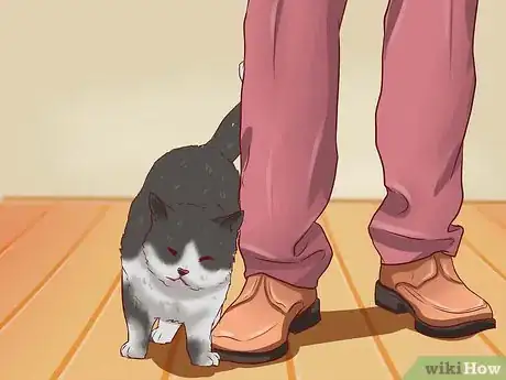 Imagen titulada Open a Cat's Mouth Step 1