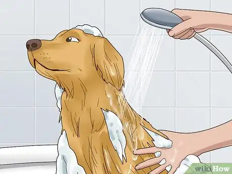 Imagen titulada Get Rid of Your Dog Step 11