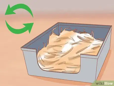 Imagen titulada Stop a Rabbit from Smelling Step 9