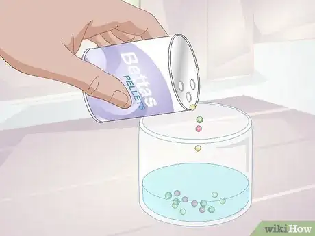 Imagen titulada Feed a Betta Fish Step 10