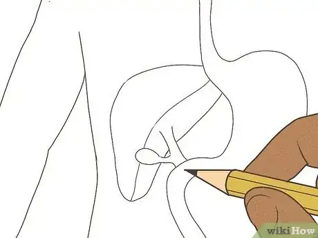 Imagen titulada Draw a Model of the Digestive System Step 6