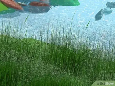 Imagen titulada Fish in a Lake Step 12
