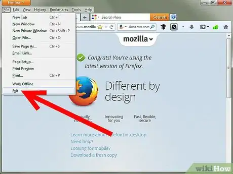 Imagen titulada Erase Web History in Firefox Step 12