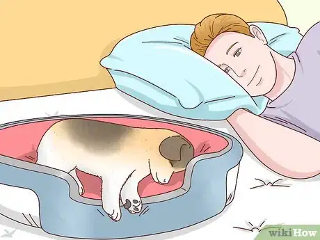 Imagen titulada Adopt a Puppy Step 15