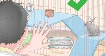 preparar la jaula de un conejo